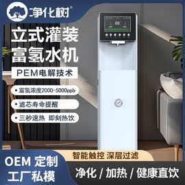 跨境立式富氢水机高浓度制氢饮水机净饮机RO反渗透过滤速热净水器