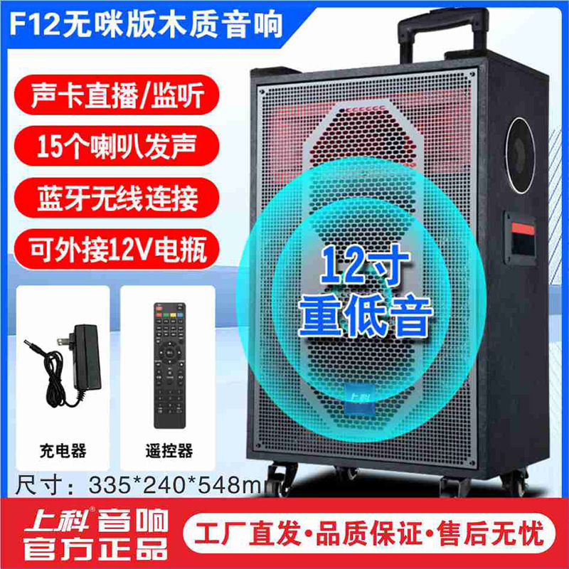 上科广场舞音响功放一体机大音量低音炮户外演出直播唱歌蓝牙音箱|undefined