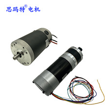 工廠定制永磁有刷無刷小微型直流電動機 12v24v36v 功率10w-1000w