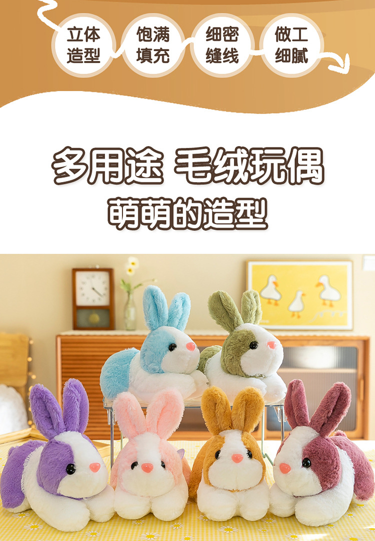 详情图