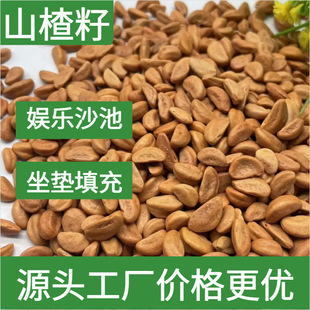 Washable and Polished Hawthorn Seeds for Kidsren's Playground Sand Pools, Car Seat Cushions, and Cervical Spine Pillow Filling