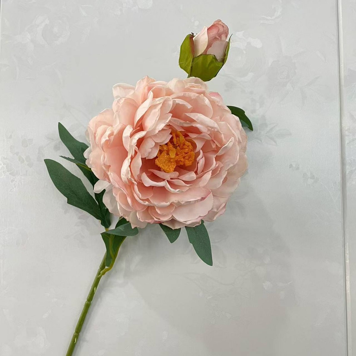rosa