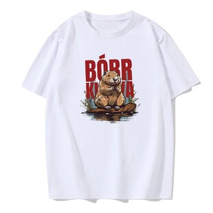 �����L��B&oacute;br Ku&amp A - Bober B&oacute;br����Boberek t��A�I���e