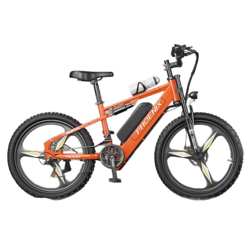 Phoenix electric asistido bicicleta de montaña nuevo estándar nacional de viaje de larga distancia corta en lugar de vehículo eléctrico ligero asistido