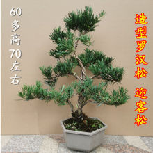 ȸ���_�h�Ɉ@ˇ�辰�䘶С����ֲ���ļ�����Gֲ�̨ͥԺӭ����