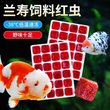 �m����ϼt�x�w���~ʳ�������xС���~���ǿ����^�p�~�����~�~�Z