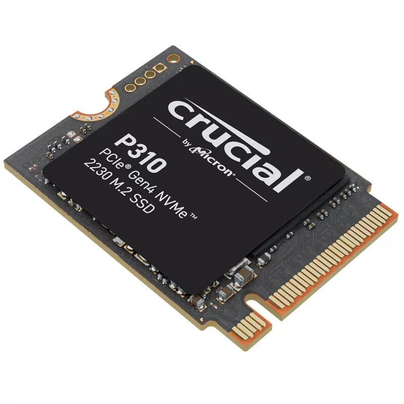 /P310 500Г 1Т 2Т M.2 NVMe 2230 2280 твердотельный диск SSD