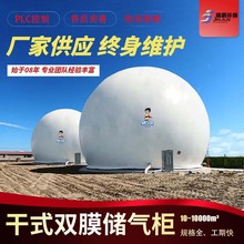 一体化双膜储气柜 独立式橡胶膜 干式厌氧发酵沼气沼气存储设备
