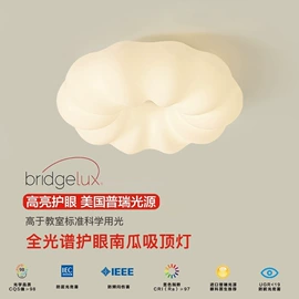 吸顶灯;吊灯;风扇灯