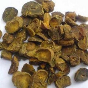 �в�ș�Ӻ��� Ԫ�� ����GMP�J�C��I�S��ֱ�N���ϸ��C�|�z���