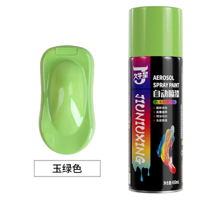 Avtomobil boyası, metal self-spray paint large capacity - jade-green-450mlbottle-spray-paint