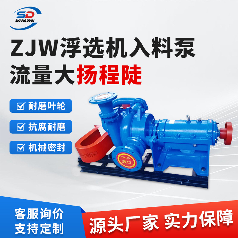 压滤机入料泵耐磨变频增压泵污水泵杂质洗沙 入料加压杂质泵