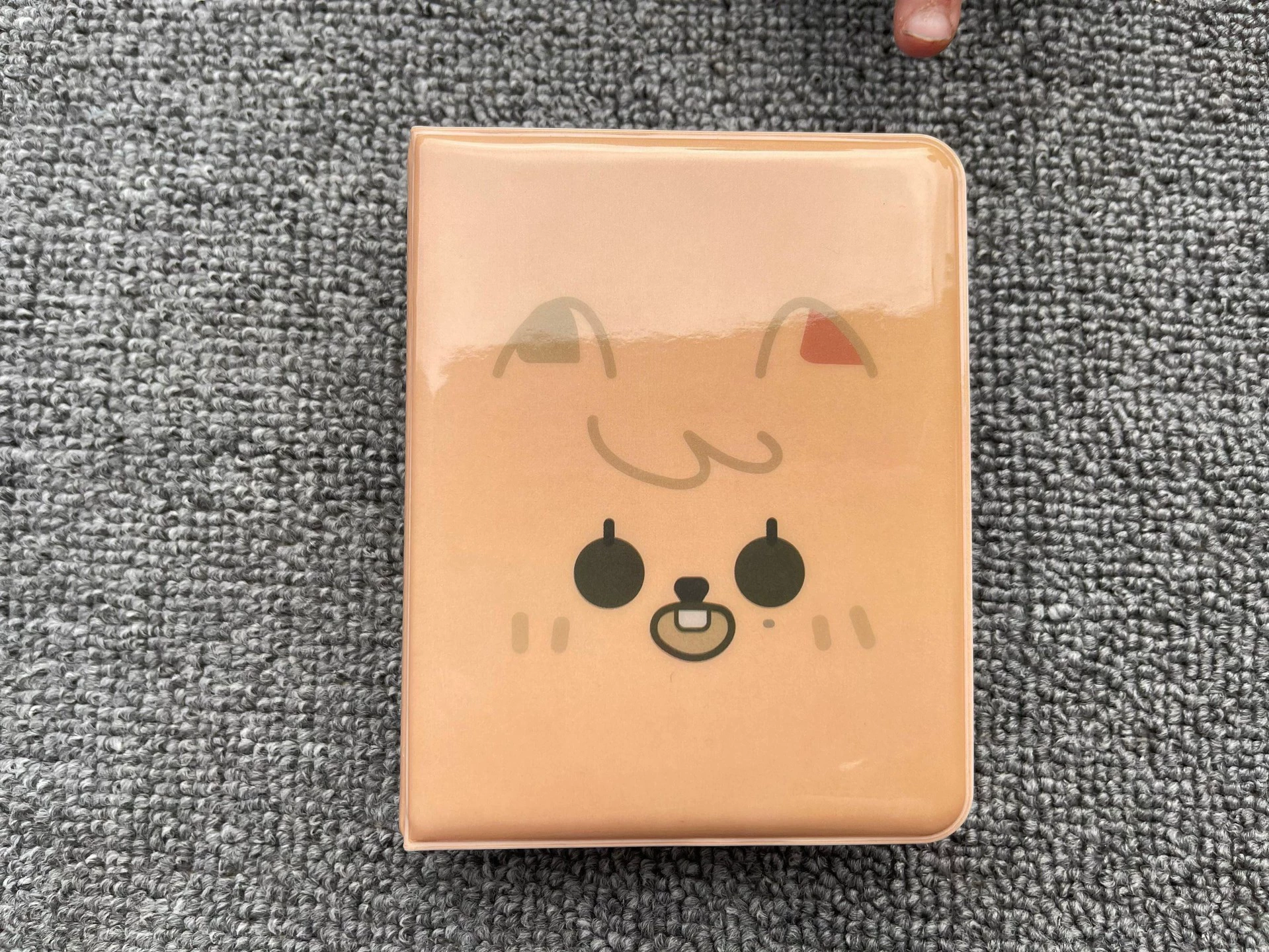 STAY Card Book Li Longfu Fang Can Wandering Children SKZ Фото-архив Альбом 3 дюйма