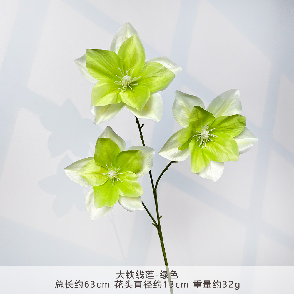 MJ-大铁线莲-绿色