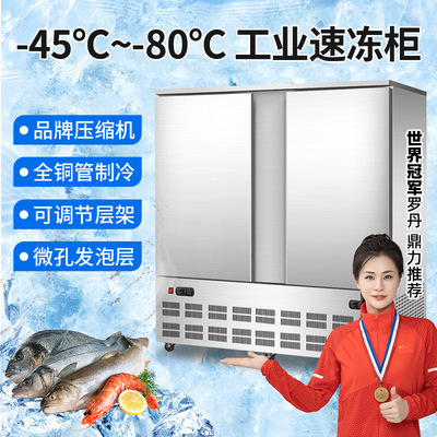 Derling commercial Quick-freeze Freezer Below zero 45 degree 80 sea cucumber Dumplings Steamed stuffed bun Air Quick freezing machine