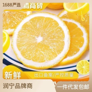 Sichuan бег сезон свежие экспортные беременные женщины фрукты сочные вы, такие как желтый лимон 20/30 котли всей коробки оптом