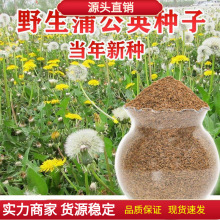 Ұ���ѹ�Ӣ�N��ʳ��ș�ļ����������Ŷ������ļ��ײ��̨����Ұ��