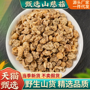ɽ�ȹ�éë�ȹ�ɽ�Ĺñ�������ș��ĥ�۟o�����r��؛500g���]