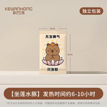 �԰l�Ῠͨů�֌���ɏС�ඬ������ʽů���N