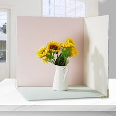 ins風莫蘭迪背景板純色拍照攝影道具木板粗砂水泥板