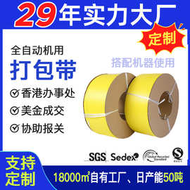 广东环保打包带厂家直销批发纯新料PP3000米全自动机用透明打包带