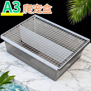 ����������B�����x����A3���ʽ��������������،m��ֳ��������