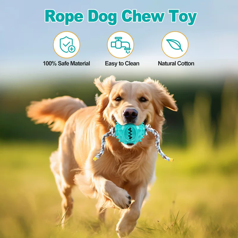 Travel adjustable interactive toy on lanyard, pet, can bite