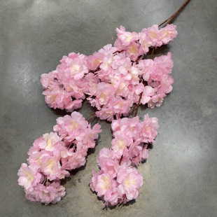 ����ѻ��L֦�ѻ��̈���c�bѻ������әѻ������Q���l�ѻ��o�~