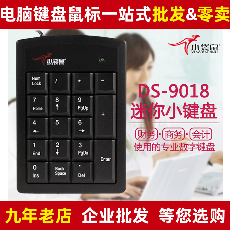 Kangaroo DS-9018 Bank Accounting Finance USB PS2 Notebook External Wired Numeric Password Keypad