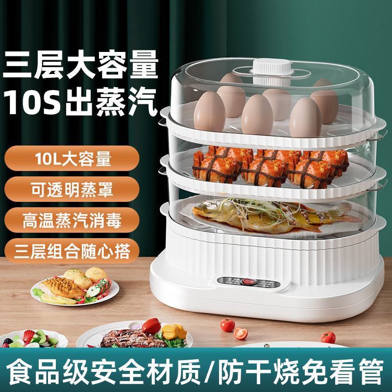 Multifunctional Electric Steamer