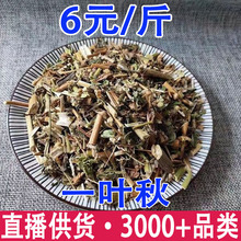һ�~�� һ�~�c С���� �M�� ������ �R�������l���l