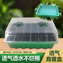 �@ˇ�������̖���w48��24��Ǥ���貥�N���琞�B���~��Ѩ�P