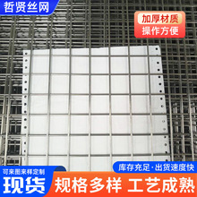 廠家不銹鋼電焊網片建築鋼絲網安全防護鐵絲網內外牆抹灰電焊網