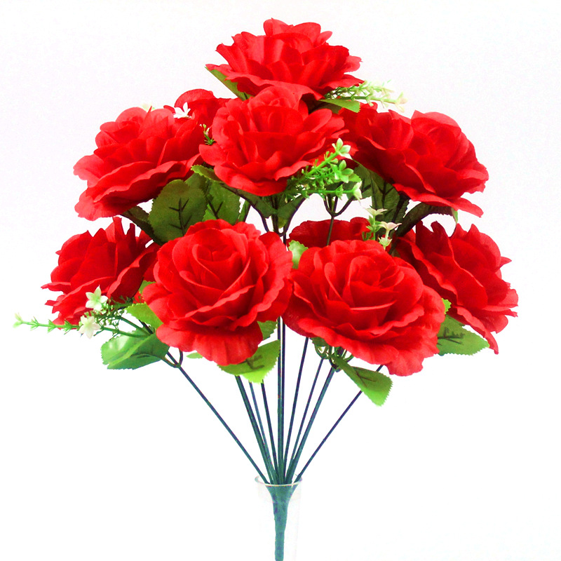 Paris Rose Red 12-cabeza