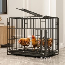 鸡笼子家用室外养鸡笼自动清粪鸭笼子鸽子鸡舍笼子大号室内鸡窝