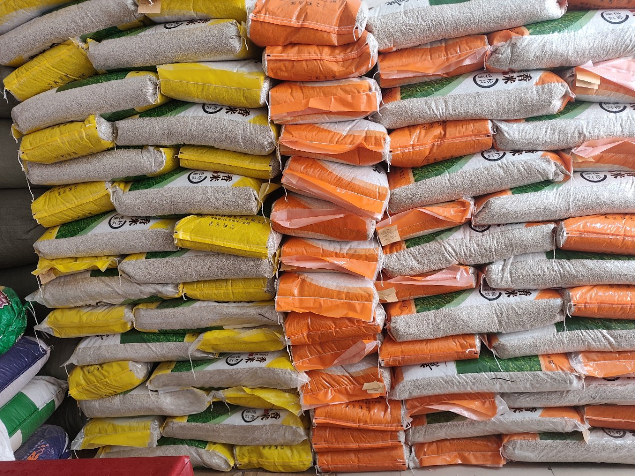 Coix Seed Yi Yi Ren 500g Large Grain Dried Job's Tears for Soup and Congee quality and texture