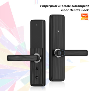 Factory Direct Approval of Popular Smart Locks with Fingerprint/Nfc/App Unlocking, Limited Time Supply at Clearance Price