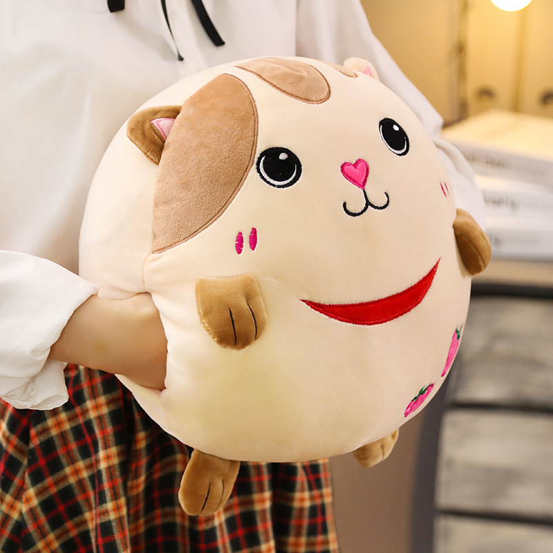 고양이