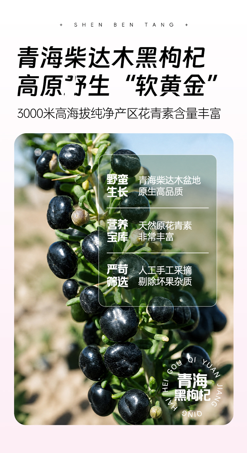 Goji Berry Juice Gift Box Red and Black Goji Concentrate Sachets Portable Wellness Drink quality and texture