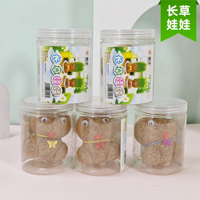 创意绿植草头娃娃桌面迷你小盆栽卡通办公室青草种植儿童观察礼品