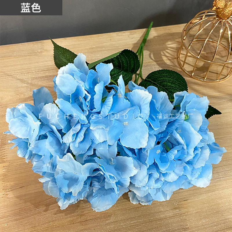 Blue (5 beams per color, less shots, no hair)