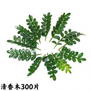 �����bGֲ���r����ľ�����~�ӽ���決������Ʒ�c�Y���[�P