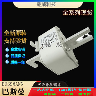 Bassman 170m6229 170m6237 170m6238 Original Imported Wholesale Price Excellent Square Fuse