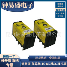 BUSSMANN��ʱ�۶���TCF6 /15 / 20 / 30RN   600V