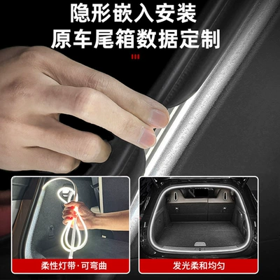 Sedan Trunk Lighting, Ambient Light, Other lights