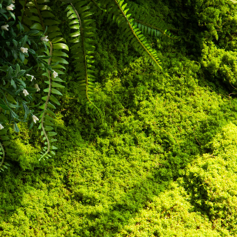 绿植苔藓青苔块草皮人造仿真植物造景材料户外草坪橱窗装饰道具