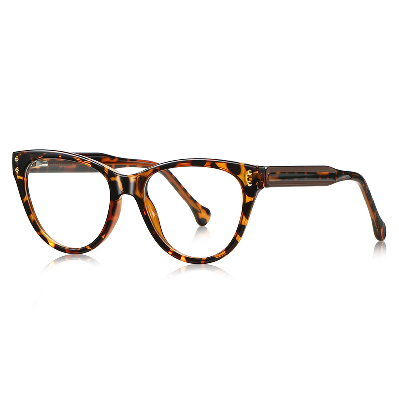 C6 tortoiseshell frame