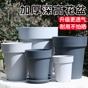 �����üӺ񡿸߻����Ͳins�L�����¿�W���s�W�t���ϼӁ���