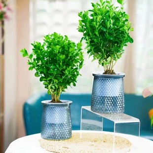 ��չ�׌��١���һ�l��������ˮ������S���辰�̨ͥԺ���͘�����