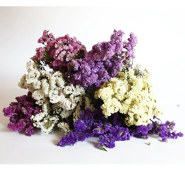 鲜花花艺制品;永生花;干花